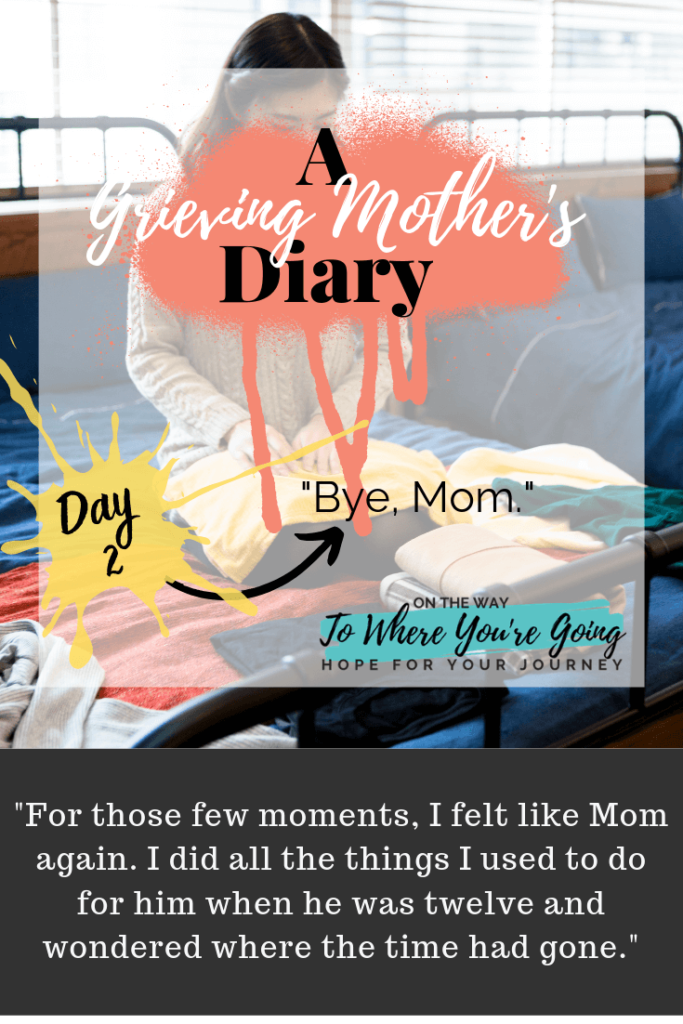 a grieving mother's diary day 2 bye mom bereaved child died