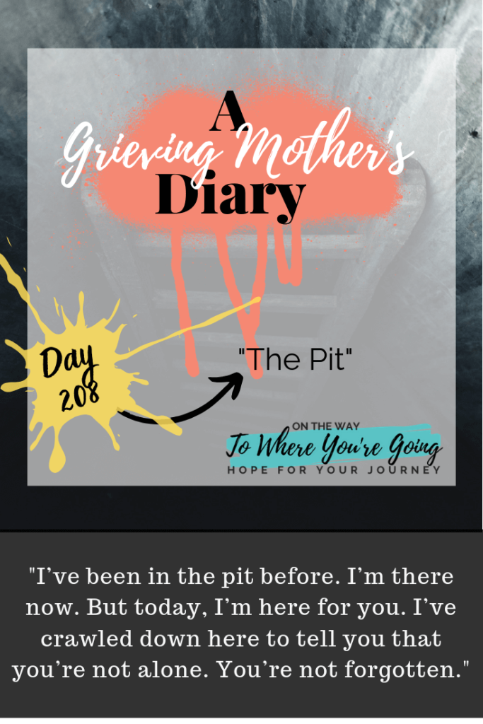 a grieving mother's diary day 208 pit bereaved child died