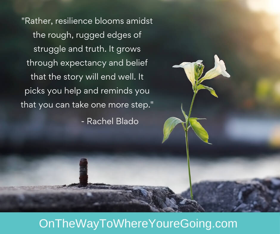 Rather, resilience blooms amidst the rough, rugged edges of struggle and truth. It grows through expectancy and belief that the story will end well. It picks you help and reminds you that you can take one more step. - Helping your child tell their story in difficult times.