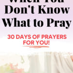 What to pray when you don't know what to pray. 30 Days of prayers for you.