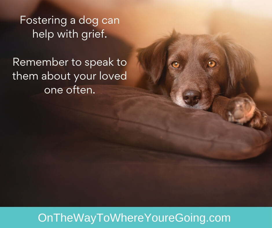 Fostering a dog can help with grief.  Remember to speak to them about your loved one often.